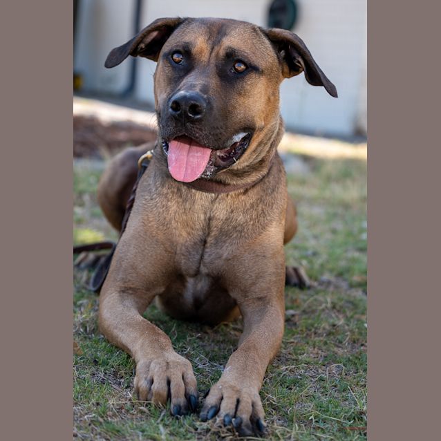 Photo of Joey Dl2207