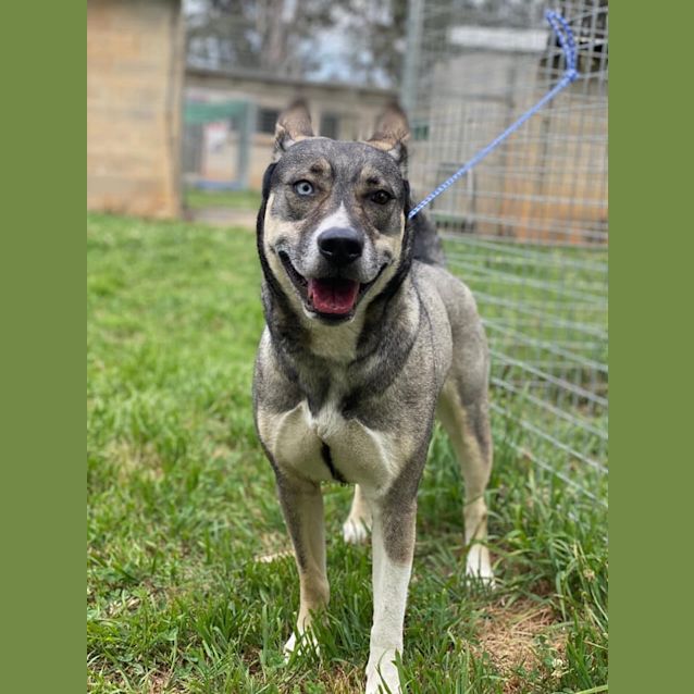 Photo of 1467 Harley