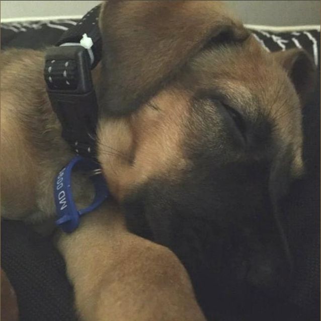 Photo of Lexi