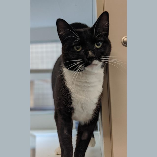 Photo of Socksy