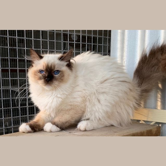 Photo of Tilly