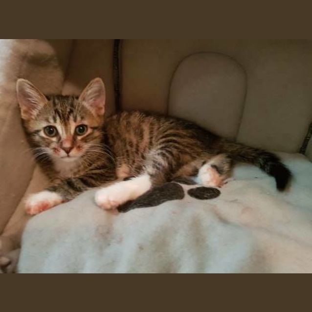 Photo of Nickle