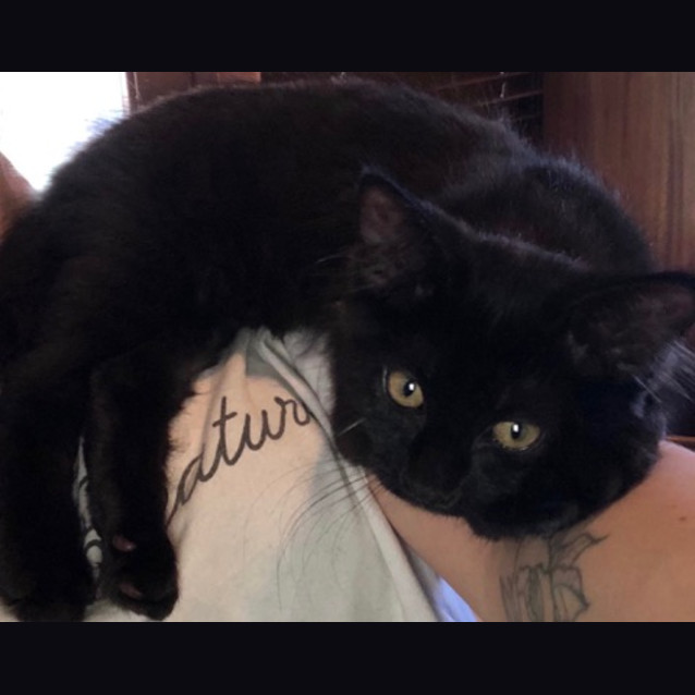 Photo of Bonnie