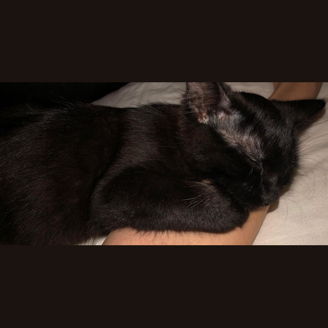 Photo of Bonnie