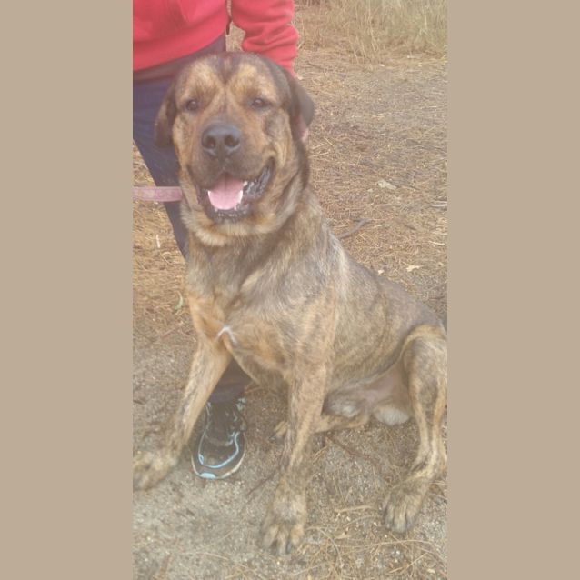 Photo of Cash