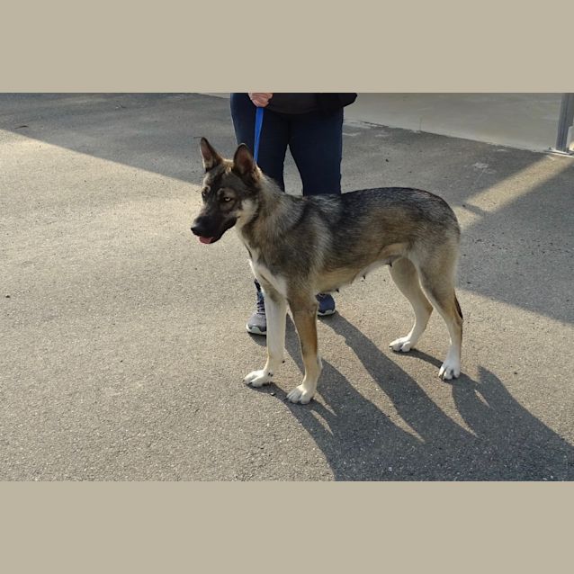 Photo of Elsa