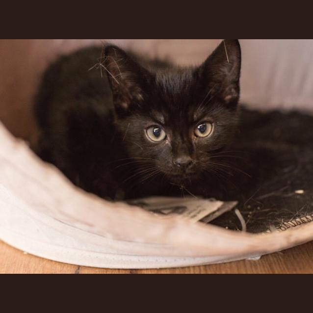 Photo of Bruce