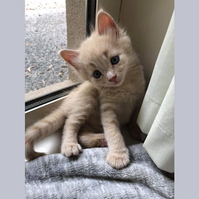Photo of Möet ❤