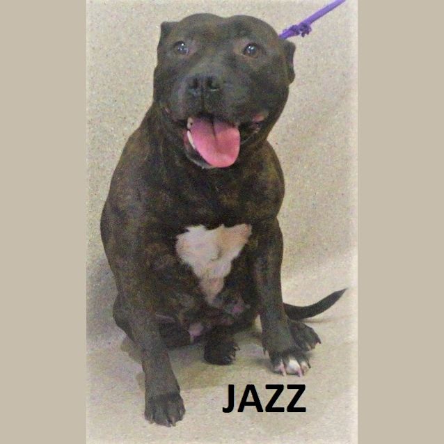 Photo of Jazz