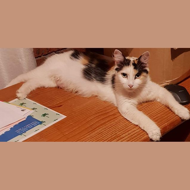 Photo of Cindy