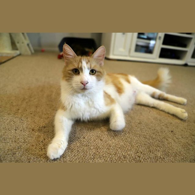 Photo of Vingette Aka Vinnie 😻