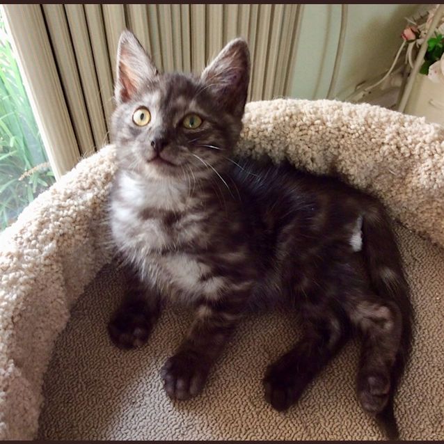 Photo of Binky