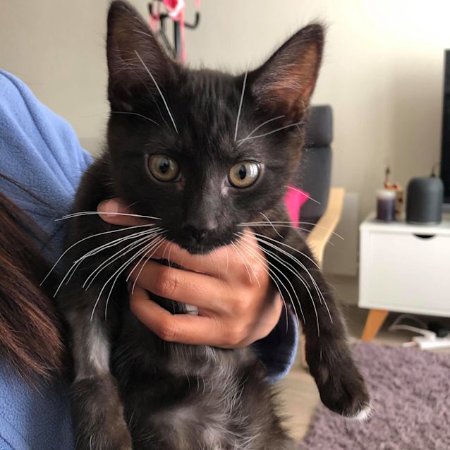 Photo of Clyde   Meet Me At Neko Hq In Preston