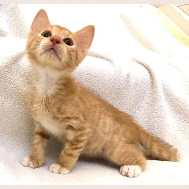 Photo of Rupert 