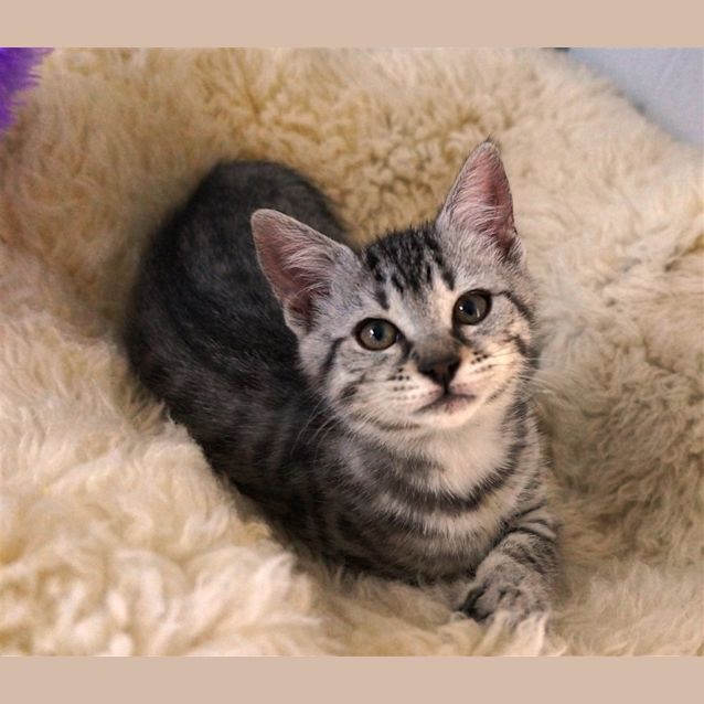 Photo of Jemima