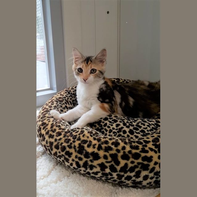 Photo of Winks