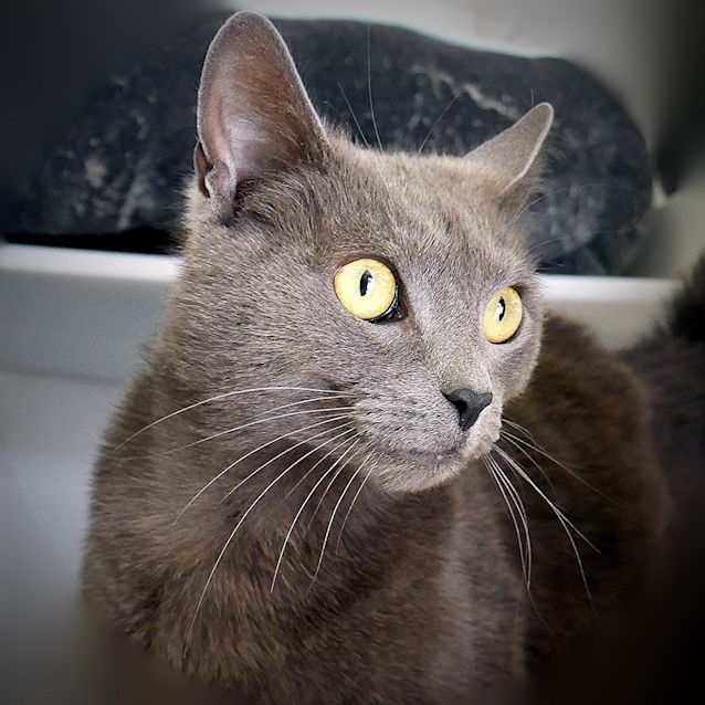 Photo of Miska Sta004689
