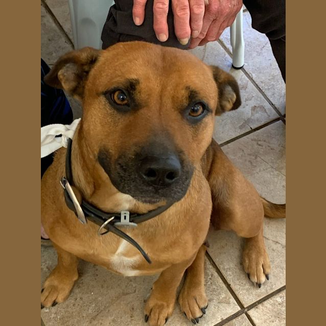 Photo of  **On Trial**Ellie  