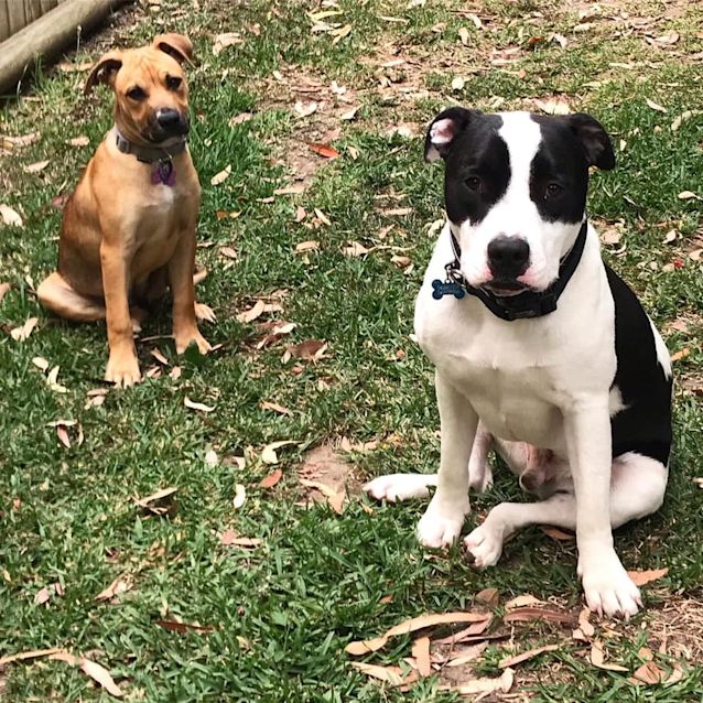 Photo of Ruby