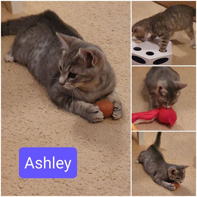 Photo of Ashley