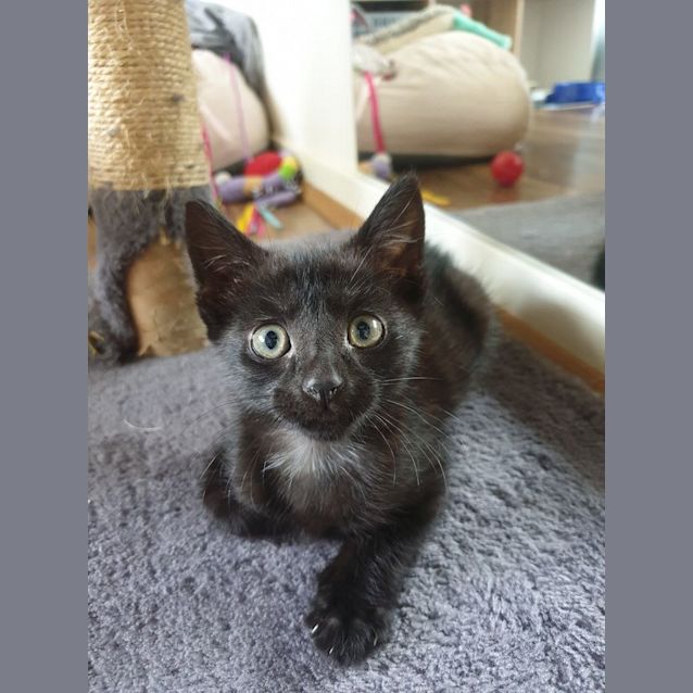 Photo of Sam 