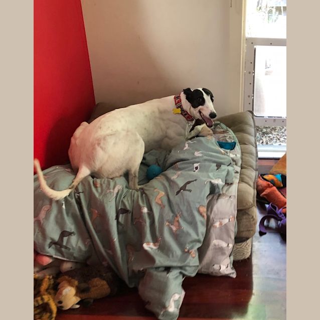 Photo of Charlotte.  Melbourne