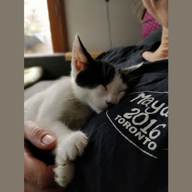 Photo of Finn