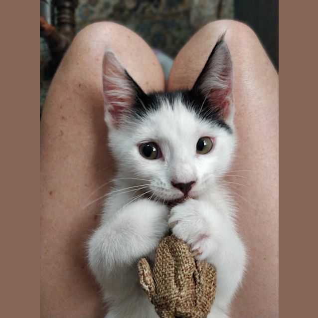Photo of Gabe