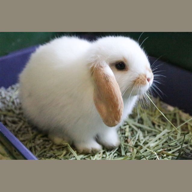 Photo of Bobby