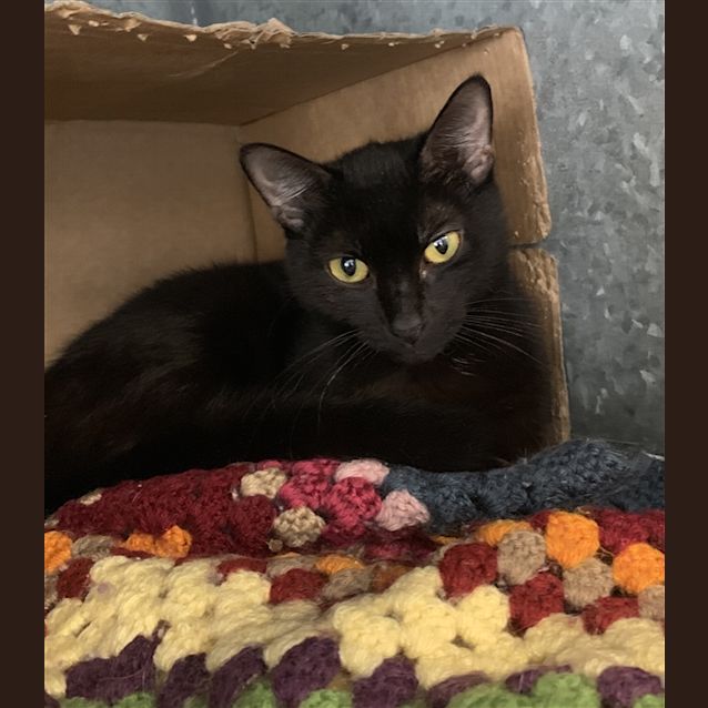 Photo of Luna