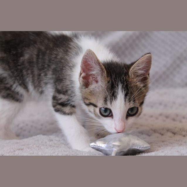Photo of Penny