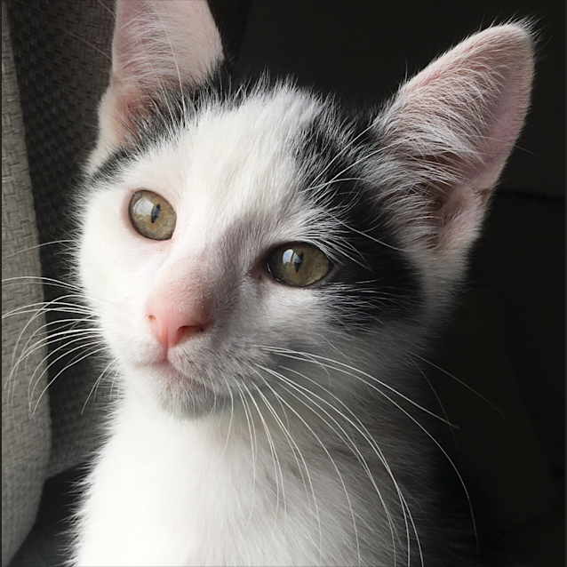 Photo of Noah