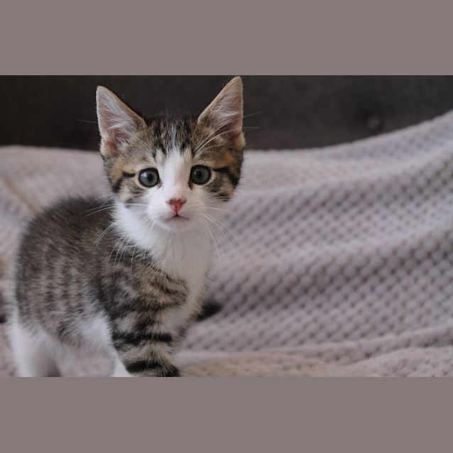 Photo of Arlo
