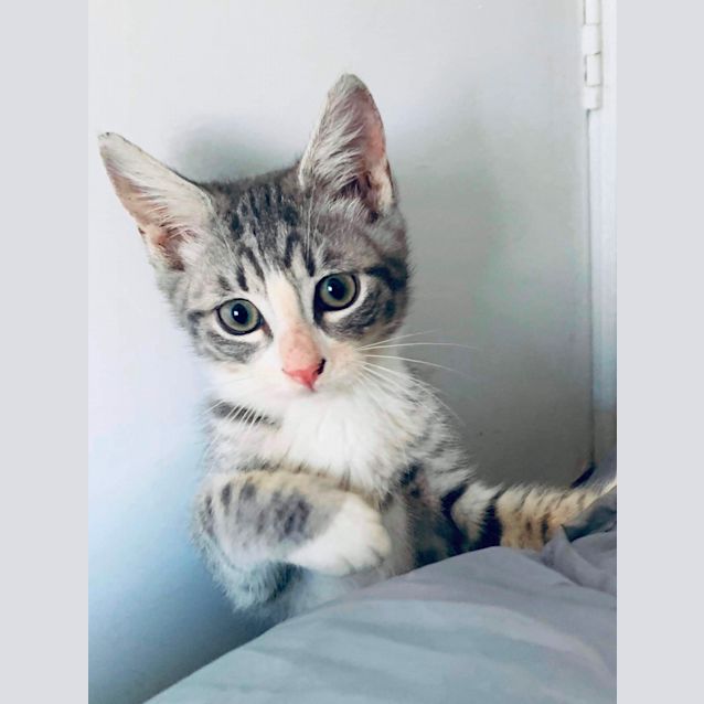 Photo of Elouise 🌺