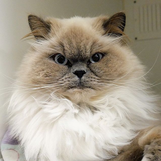 Photo of Benji Sua004720