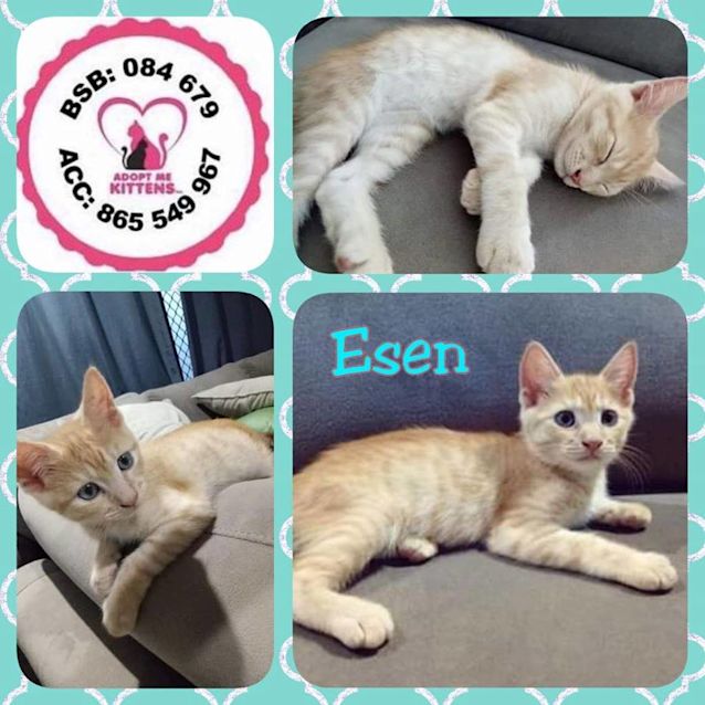 Photo of Esen