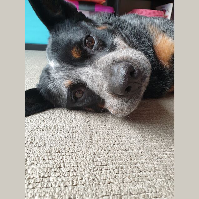 Photo of Miss Molly 