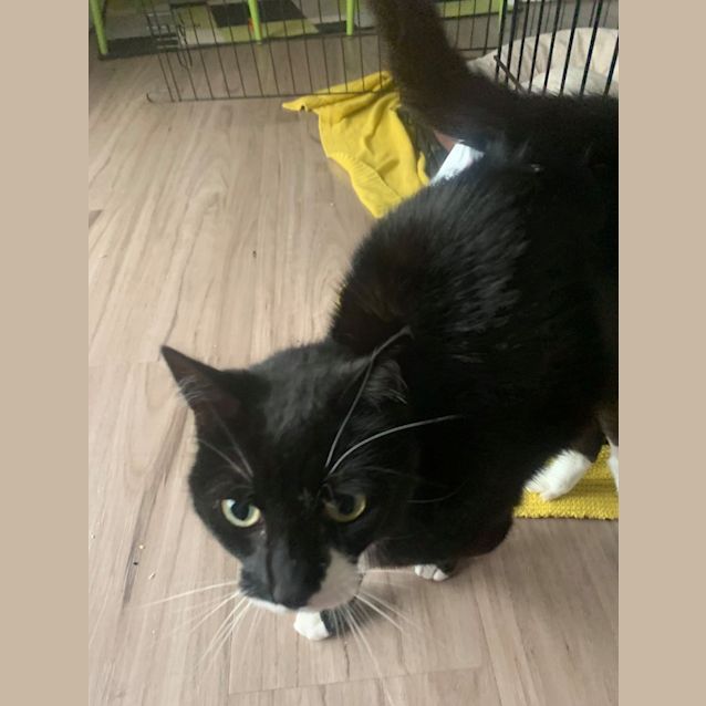 Photo of Storm 