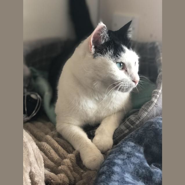 Photo of Willow