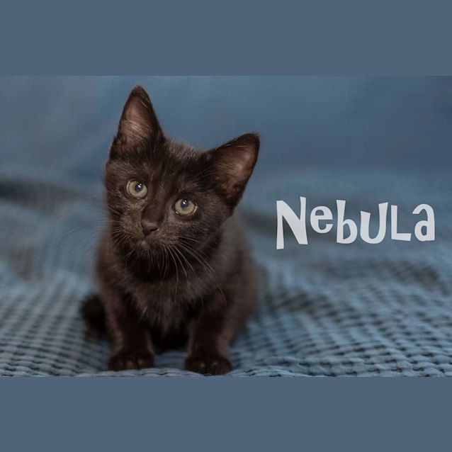 Photo of Nebula