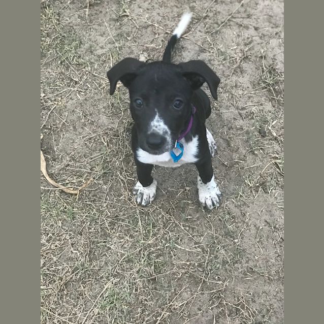 Photo of Dakota 
