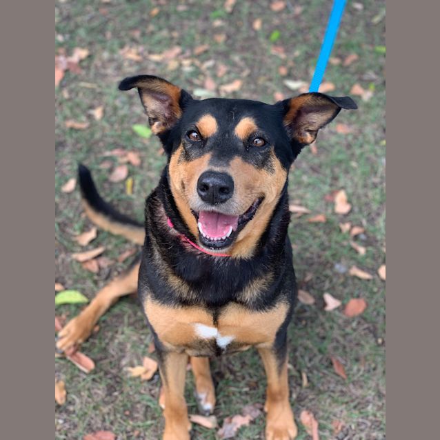 Photo of Ruby