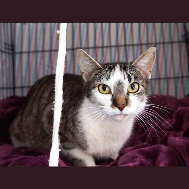 Photo of Della