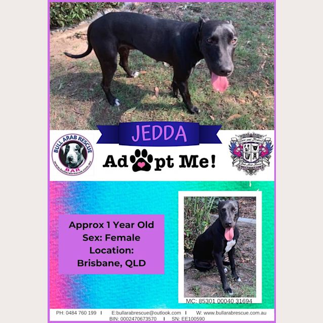 Photo of Jedda