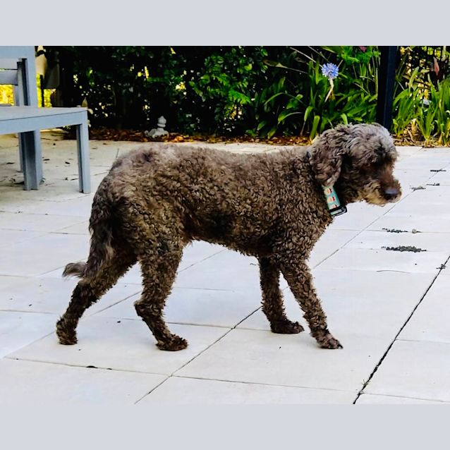 Photo of Farley ♥️♥️♥️