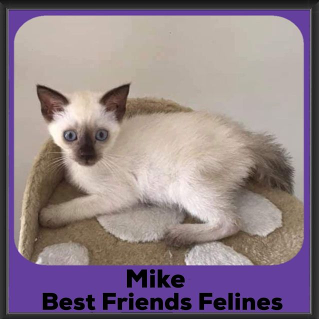 Photo of Mike