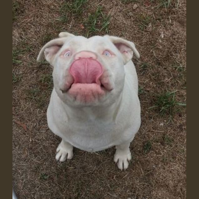 Photo of Marshal And Mallow 🍬 💓