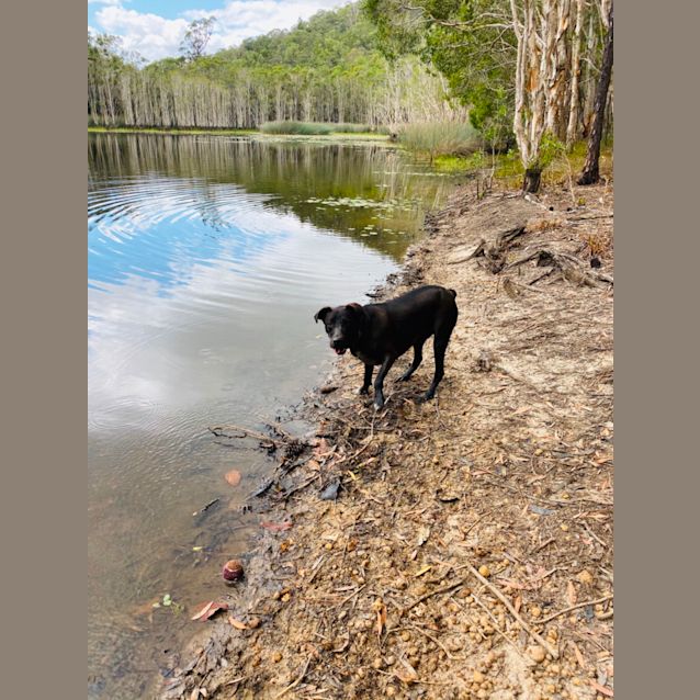 Photo of A Little Tubbsie 🛀 