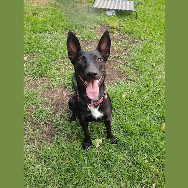 Photo of Storm 