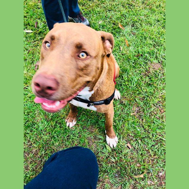 Photo of Eddie ( Lotsa Nicknames)